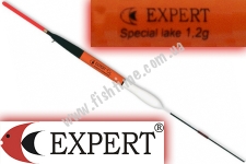  Expert 202-57-012